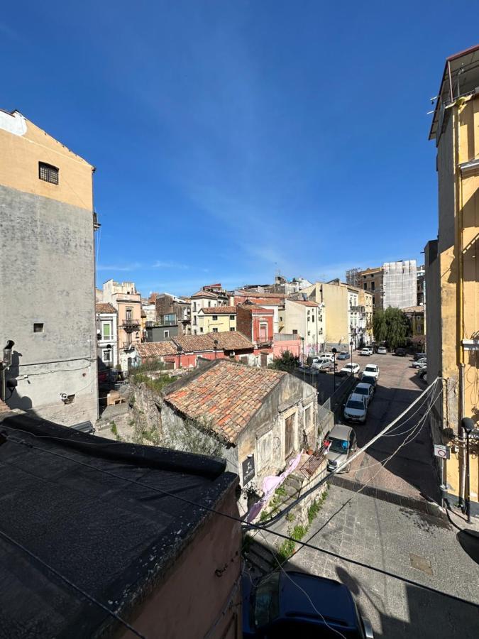 The Civita Town Center *